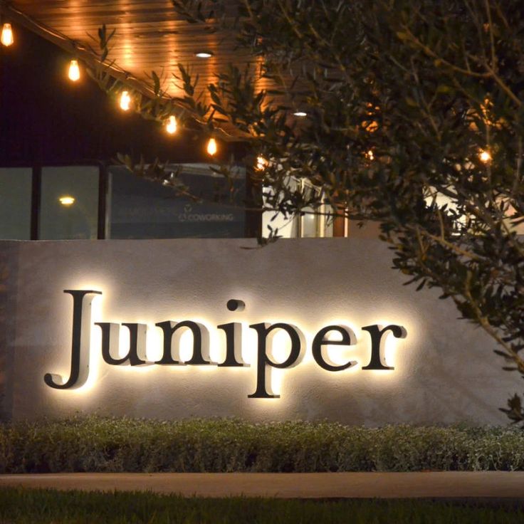 Juniper